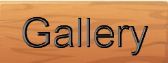 Gallery header
